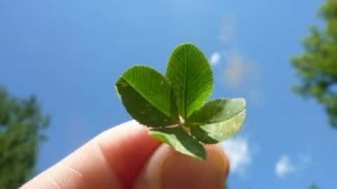 Beginner's Luck in Voice Over