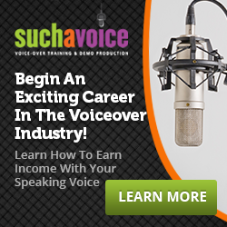 voice acting business plan