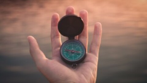 Understanding Character Objectives and Actions