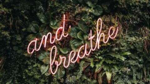 Fun, Focus, Ease, and Breathe